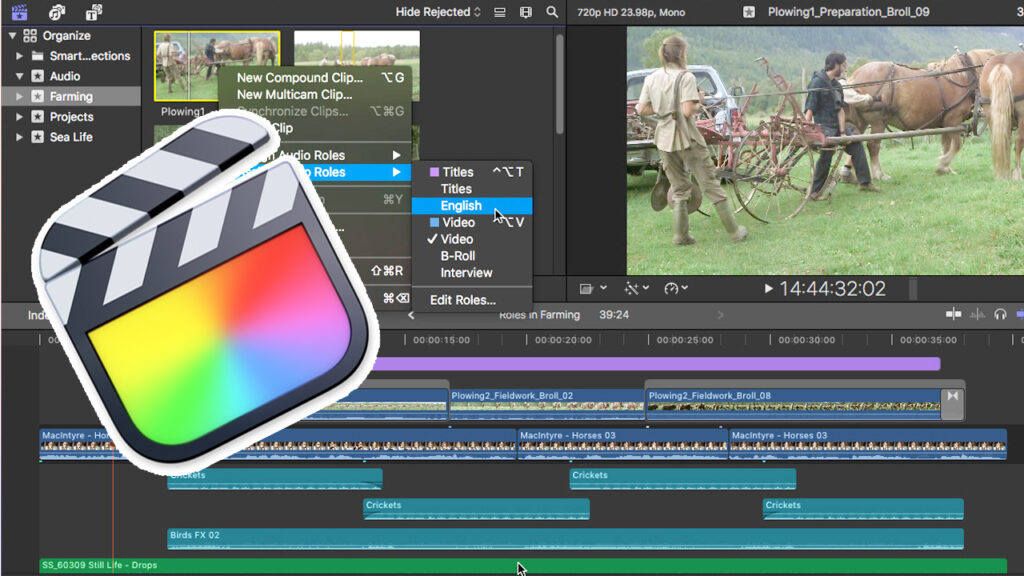 If you are a Mac user, Final Cut Pro X is a great option for video editing.